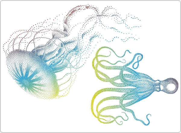 Zeedieren laptop sticker 17 inch