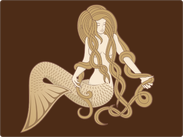 Zeemeermin laptop sticker 15 inch