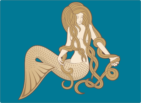 Zeemeermin laptop sticker 17 inch