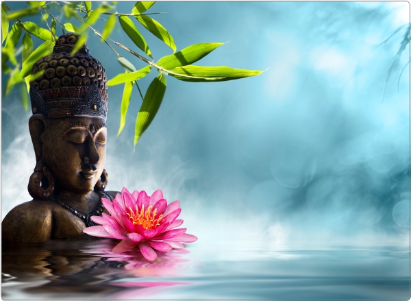 Zen Boeddha Laptop Sticker 17 inch