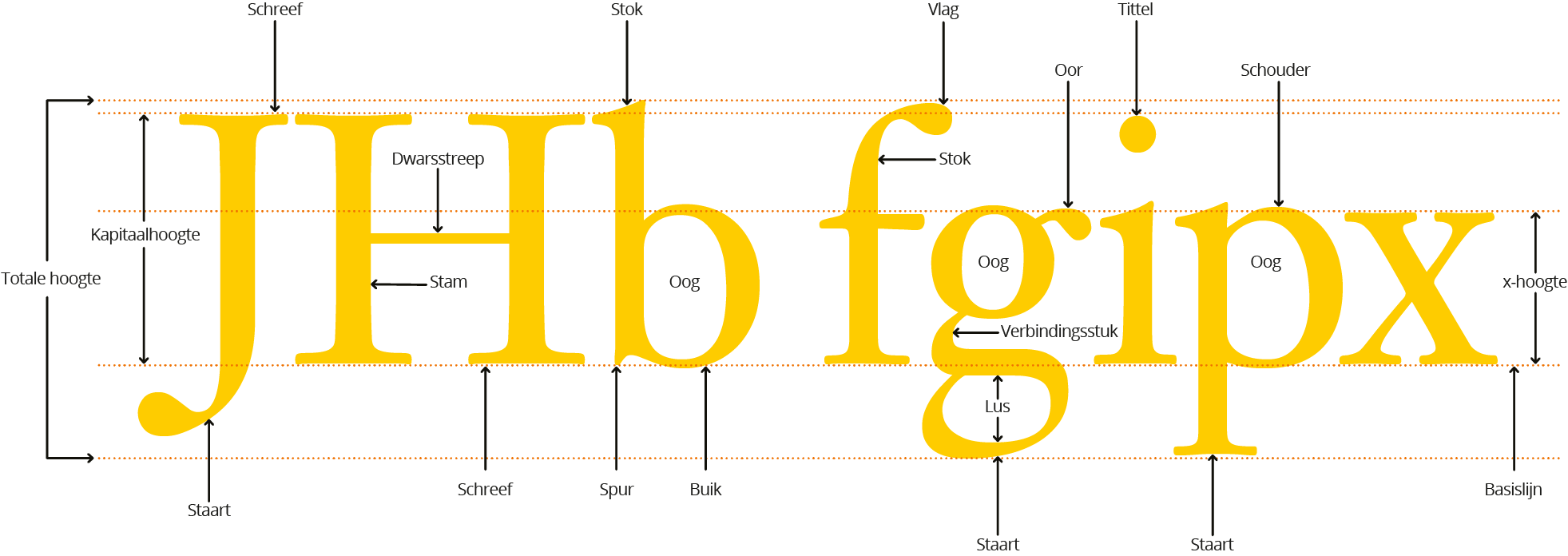 Kapitaalhoogte Plaatje van de anatomie van letters