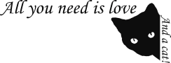All you need is love and a cat - image of a black cat