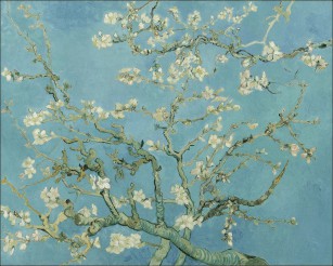 Amandelbloesem van Gogh