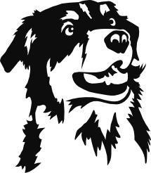 Australische Herder