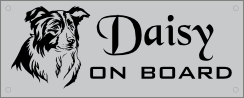 Autobanner border-collie on board