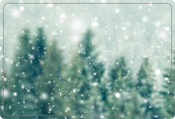 Dennenlandschap sneeuw