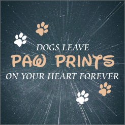 Dogs leave paw prints in your heart forever memoriam stoeptegel