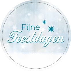 Fijne feestdagen doming lichtblauw