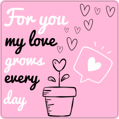 For you my love grows every day