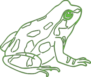 Froggy