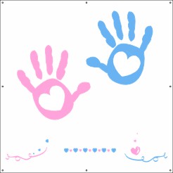 Gender reveal party