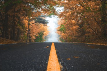 Herfst aan de weg