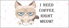 I need coffee right meow