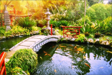 Japanse tuin