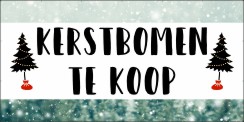 Kerstbomen te koop (Spandoek)