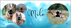mok hond milo