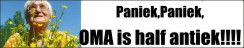 PaniekPaniek is half antiek