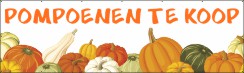 Pompoenen te koop Spandoek