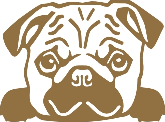 Pug