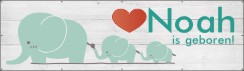 Spandoek Geboren Olifantjes
