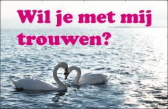 Spandoek Trouwen Zwanen