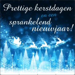 Sprankelende feestdagen Spandoek