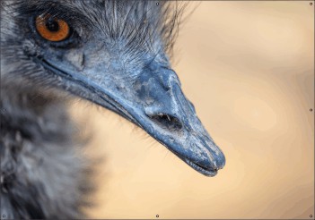 Struisvogel tuindoek