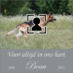 Tegel voor altijd in ons hart