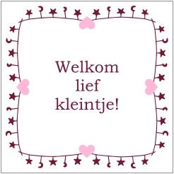 Tegeltje welkom lief kleintje - Roze
