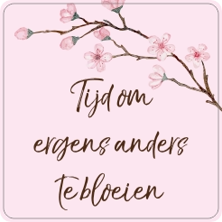 Tijd om ergens anders te bloeien