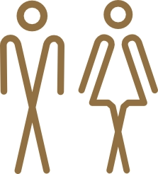 Toiletstickers spiegelgoud