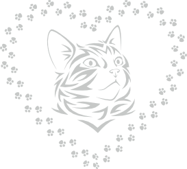 Tribal kart in hartje van pootjes