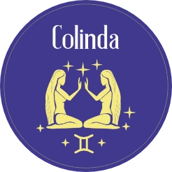 Tweeling geboortesticker