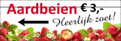 Verse aardbeien Spandoek