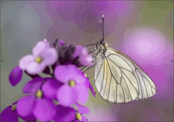 Vlinder op bloem tuindoek