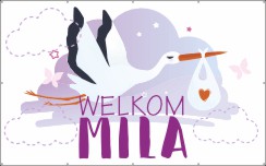 Welkom geboorte meisje