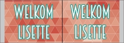 Welkom (makelaarsbord)