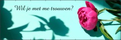 Wil je met me trouwen pioenroos