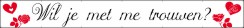 Wil je met me trouwen spandoek