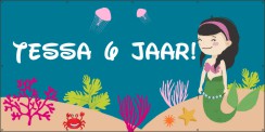 Zeemeermin verjaardag spandoek
