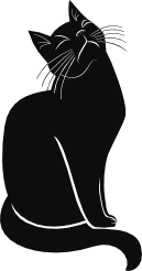 Zwarte kat